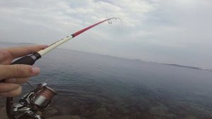 ЗВЕРСКИЕ ПОКЛЁВКИ на касании приманкой дна. Рыбалка во Владивостоке с берега. Японское море. 2019/0