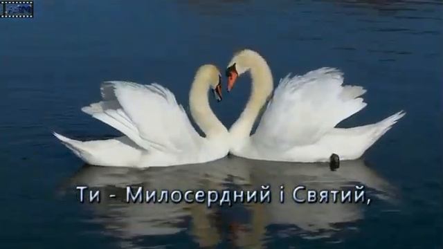 Бачу Бога кожен день (мінус) смотреть онлайн