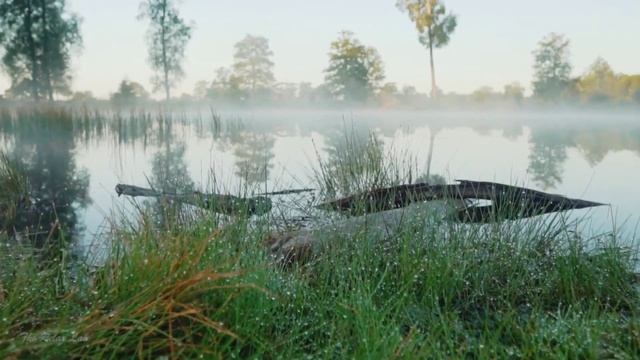 Успокаивающая музыка природы