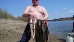 Селитренное река Харабалык