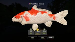 РР4 , РУССКАЯ РЫБАЛКА 4 Бедное при бедное.