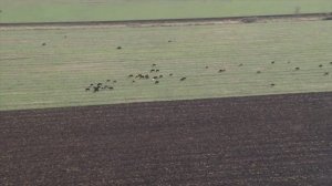 Кочубеевский район - территория для жизни.