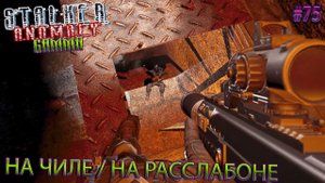 НА ЧИЛЕ, НА РАССЛАБОНЕ | STALKER ANOMALY GAMMA | Серия 75