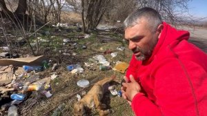 Щенок молит о помощи на трассе/Клещи едят его заживо