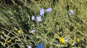 Мир природы 3