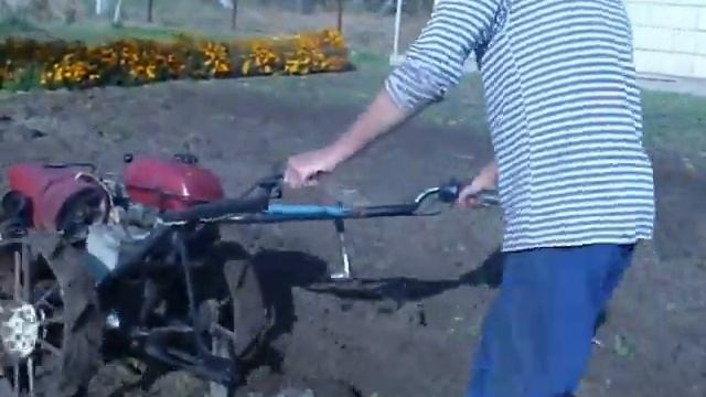 Работа мотоблока на пахоте.