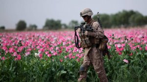 Охрану границ стран СНГ с Афганистаном усилили. Причина – растущий наркотрафик