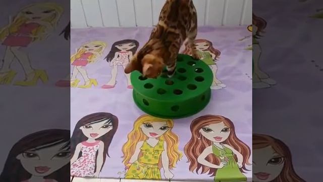 ??Для игрушки самое главное – сделать ребенка счастливым.