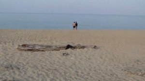 на НИВЕ на Море Часть 2 я