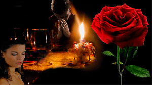 Роза . Игорь Кибирев .