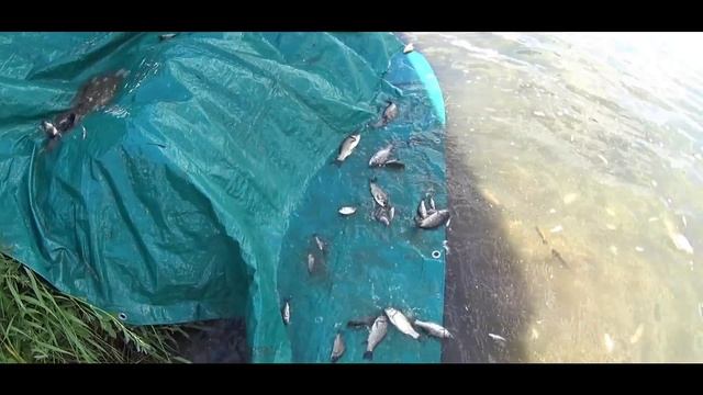 Проект "Аренда водоёма" 26 "Новогодняя подборка зарыбления" смотреть онлайн