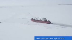 Освоение Арктики