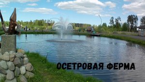 Рыбалка на Пушкинской Осетровой ферме
