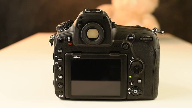 Nikon D850. Серийная съёмка. RAW, время записи серии изображений на карту памяти XQD смотреть онлайн