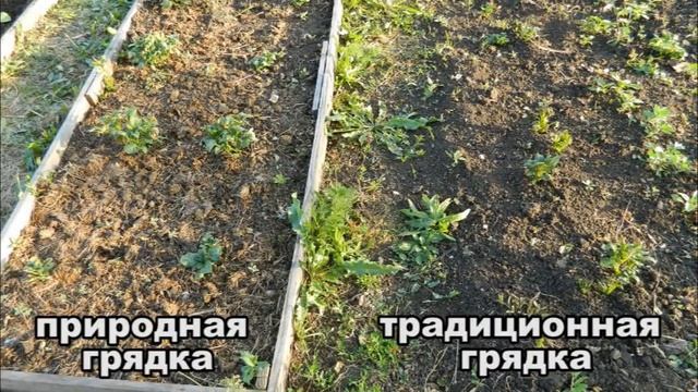 Почва и природное земледелие