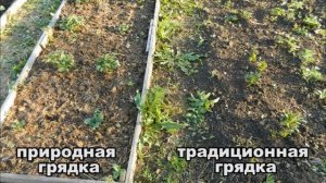 Почва и природное земледелие