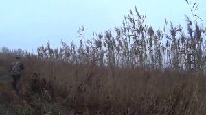 Охота на уток с подхода осенью, ТОЗ-34 - Командная работа