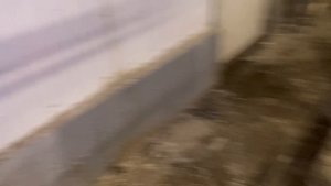 Участок навешивания птицы