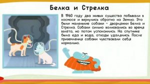 Бодо Бородо и космос игра