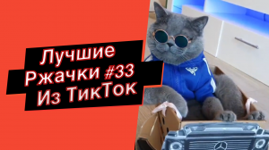 ПРИКОЛЫ ИЗ ТИК ТОК  РЖАЧКИ ИЗ ТИК ТОК ЛУЧШИЕ ПРИКОЛЫ 2021 ПРИКОЛЫ С ЖИВОТНЫМИ ИЗ ТИК ТОК