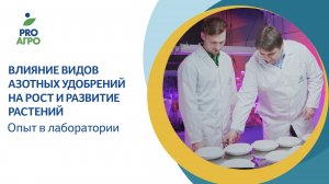 Влияние видов азотных удобрений на рост развитие растений. Опыт в лаборатории