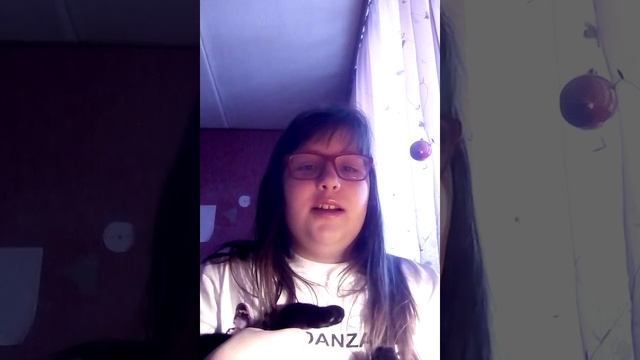 Абиссинские кошки . Приметы и особенности смотреть онлайн