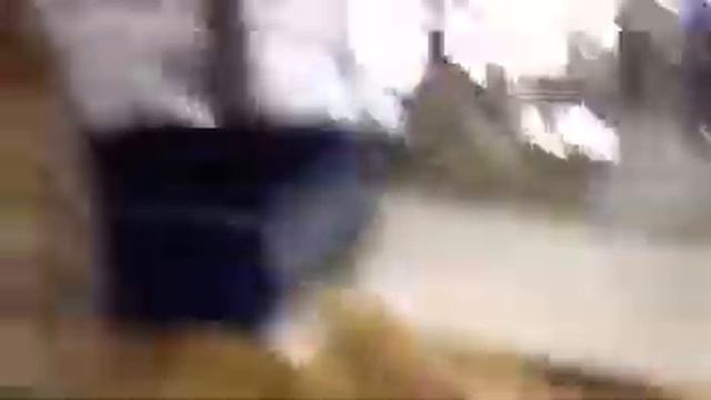 Munchkin Kitty смотреть онлайн