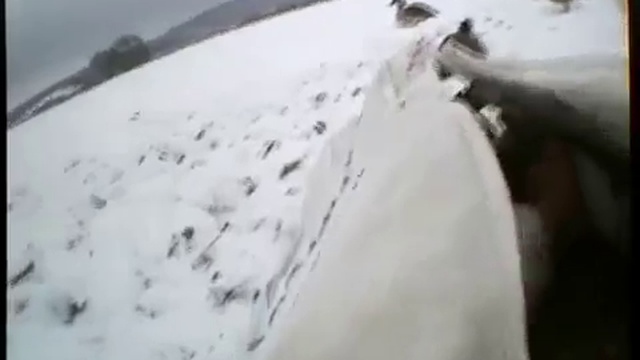 Гусиная охота зимой, в поле, в снегу. смотреть онлайн