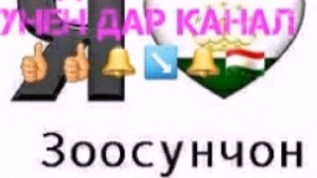 ХАЛИМ ЁРОВ смотреть онлайн