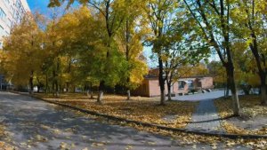 Ковидный госпиталь № 20 на Западном. Ростов-на-Дону.  2021 год.