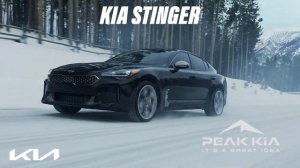 Kia Stinger Feb 22 Spot | Peak Kia