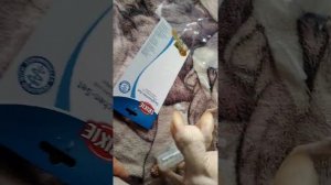 Бутылочка для выкармливания котят. Нужна ли?