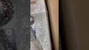 Электрический котёл SAVITR Classic Plus 4 кВт 220 V