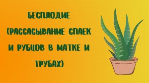 Бесплодие (рассасывание спаек и рубцов в матке и трубах).mp4