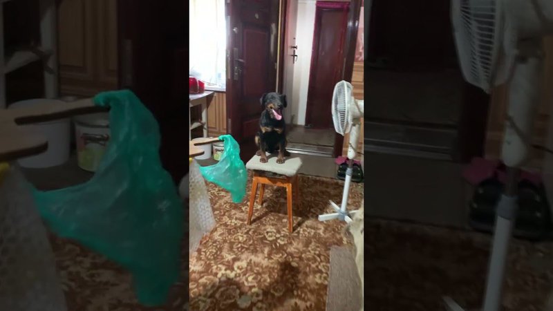 Охлаждение