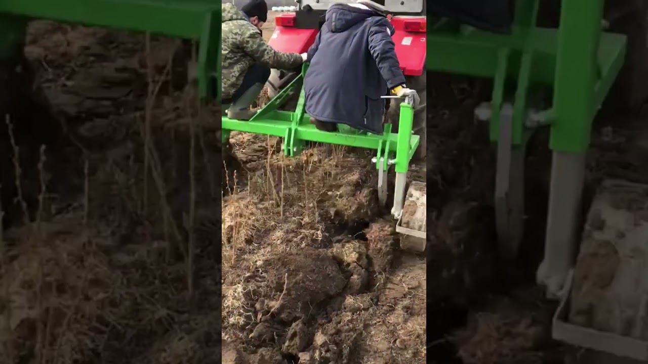 Копаем саженцы смородины самодельной скобой. #смородина #сад смотреть онлайн