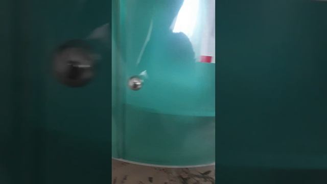 Настенный шкаф  пластик с дверцами и регулируемой по высоте и стороне полкой. 43x18x32 (M-08424)