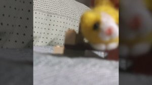 Интересный факт о Майнкрафт 1