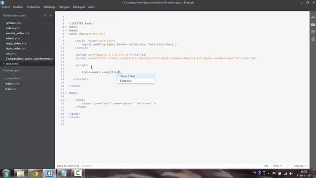 Input mask using jquery tutorial for beginners смотреть онлайн