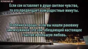 К чему снится Ракушка сонник, толкование сна