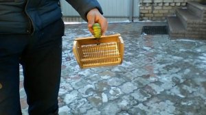 Как быстро сделать плодосьёмник