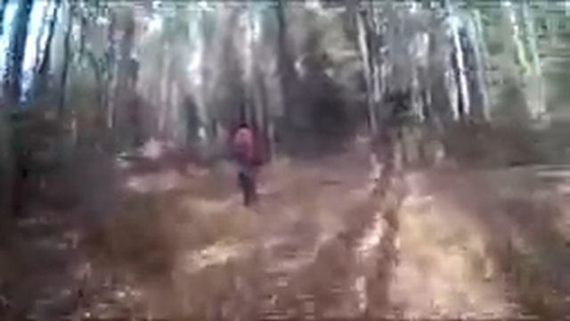 Печи-полигон-Гайна-Сутоки-Смолевичи смотреть онлайн