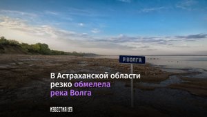 Волга обмелела