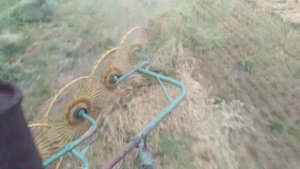 Т 16 с ворошилкой на 5 колес в работе!