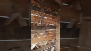 строительство гонной голубятни