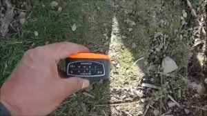 Простейшая ловушка на зайца 27 шт. за 4 часа