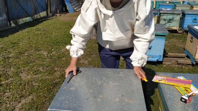 Тест полосок от клеща. Часть 1. смотреть онлайн