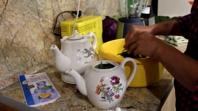 Эхинацея для повышения иммунитета. Простой способ. Заготовка.