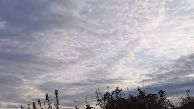 Дневник приёмной мамы/Обзор. смотреть онлайн