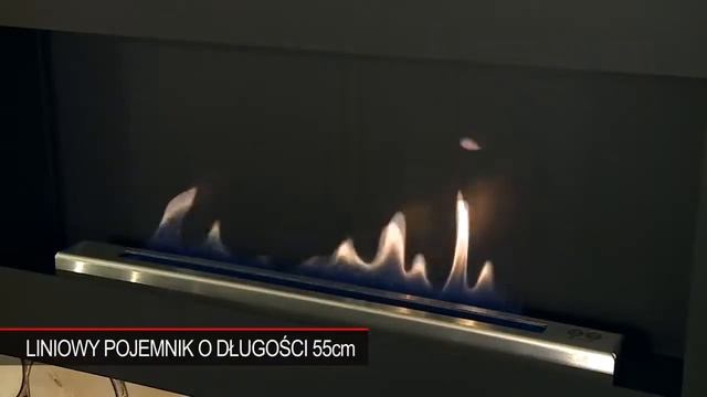 Видео обзор Биокамина Delta FLAT в магазине Биокамин.рф
